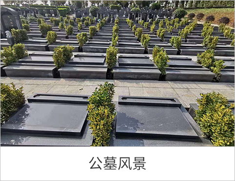 公墓风景
