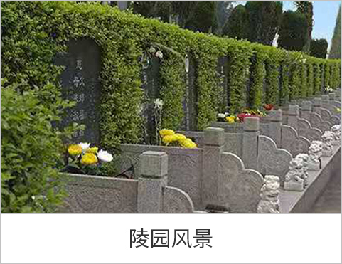 陵园风景