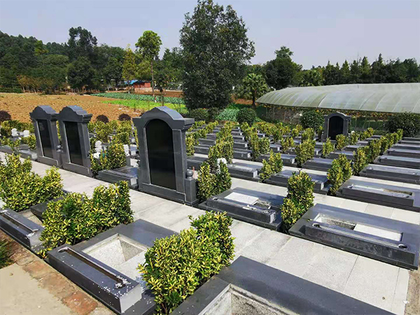 墓型展示7.jpg